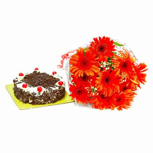 Bunch of 12 Red Gerberas with Black Forest Cake